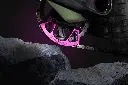 crashplate+stone.webp