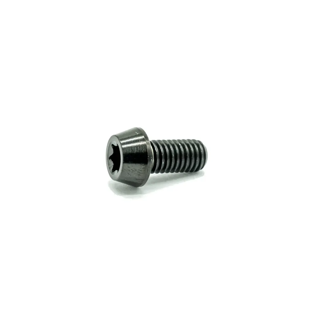 [1000368] Ti Bolt M5x10 T25 (Black)