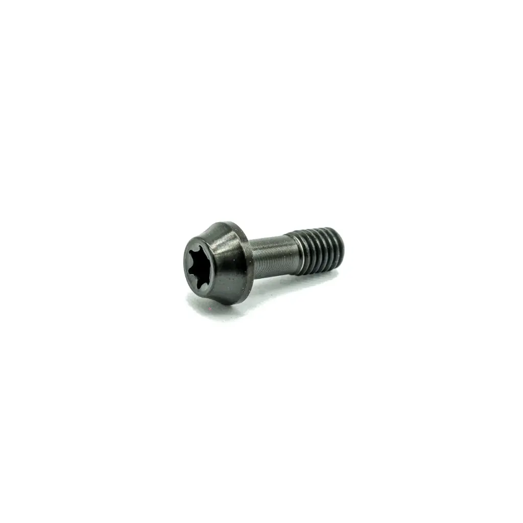 [1000372] Ti Bolt M5x14 T25 (Black)