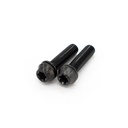 Ti Bolt M5x20 T25